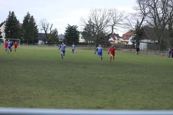 Heimspiel 04.03.2023 Dessauer SV 97