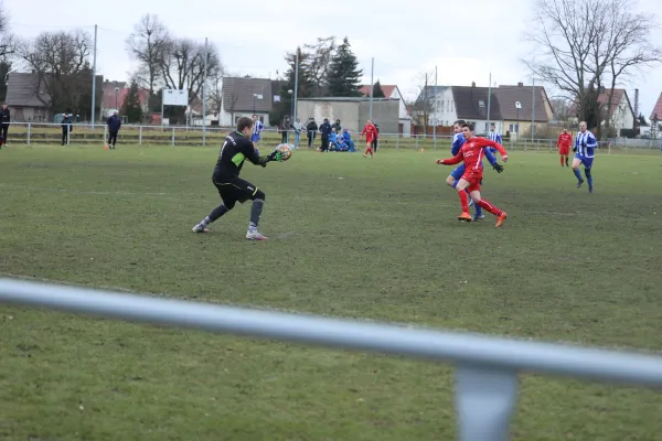 Heimspiel 04.03.2023 Dessauer SV 97