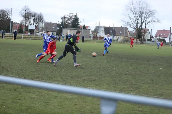 Heimspiel 04.03.2023 Dessauer SV 97