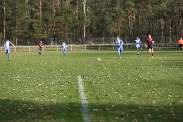 Heimspiel Dessauer SV 97 02.03.2024