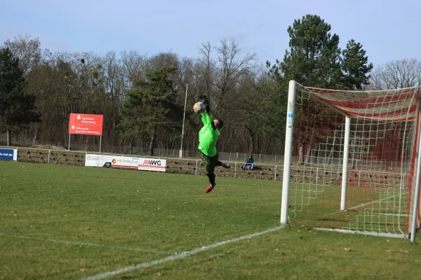 Heimspiel Dessauer SV 97 02.03.2024