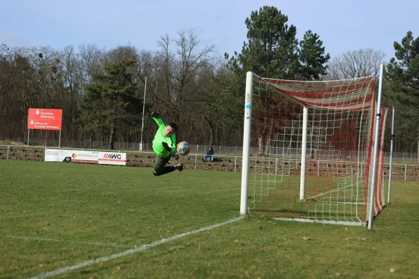 Heimspiel Dessauer SV 97 02.03.2024