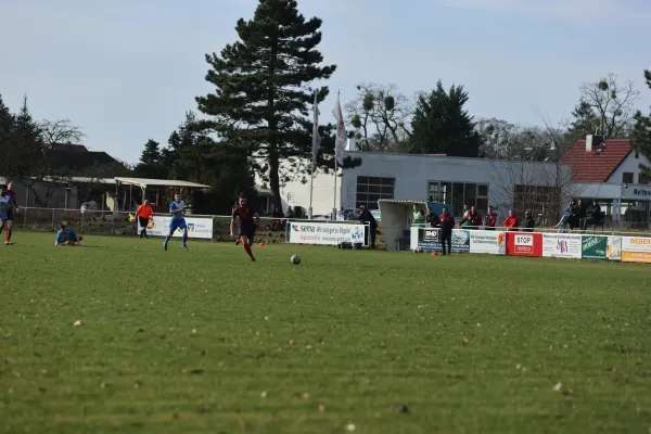 Heimspiel Dessauer SV 97 02.03.2024