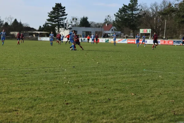 Heimspiel Dessauer SV 97 02.03.2024