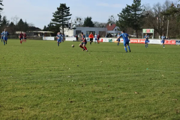 Heimspiel Dessauer SV 97 02.03.2024