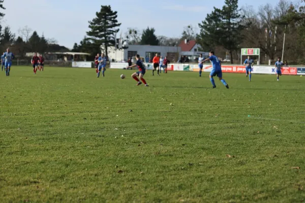 Heimspiel Dessauer SV 97 02.03.2024