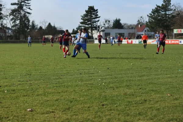 Heimspiel Dessauer SV 97 02.03.2024