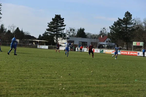 Heimspiel Dessauer SV 97 02.03.2024