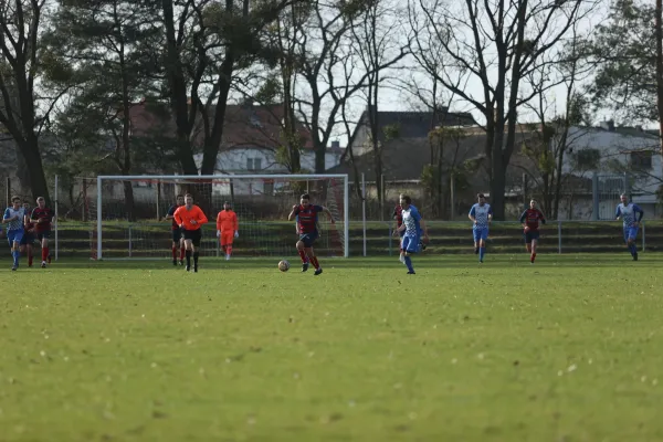 Heimspiel Dessauer SV 97 02.03.2024