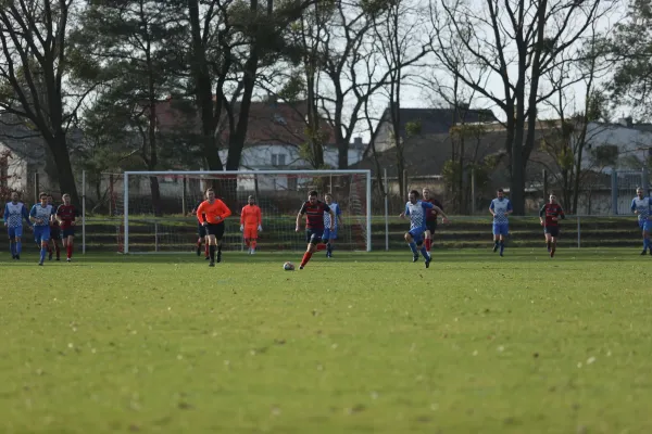 Heimspiel Dessauer SV 97 02.03.2024