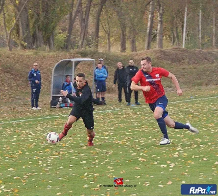 03.11.2018 SG Abus Dessau vs. SV Blau-Rot Coswig