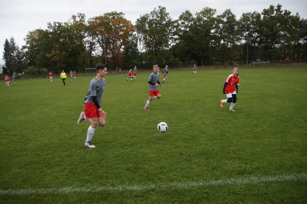 17.10.2021 SV Blau-Rot Coswig vs. SG Abus Dessau