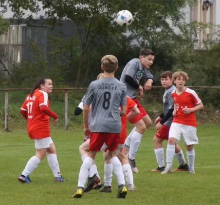 17.10.2021 SV Blau-Rot Coswig vs. SG Abus Dessau