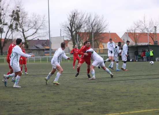 25.02.2023 Piesteritz II vs. SV Blau-Rot Coswig