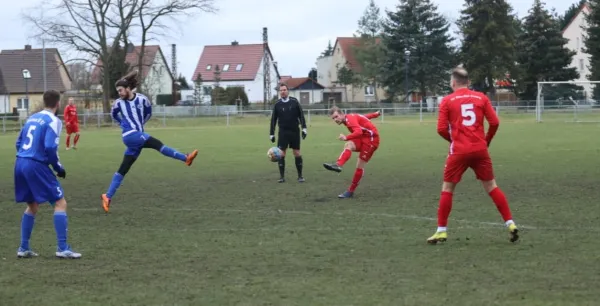 04.03.2023 SV Blau-Rot Coswig vs. Dessauer SV 97