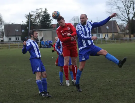 04.03.2023 SV Blau-Rot Coswig vs. Dessauer SV 97