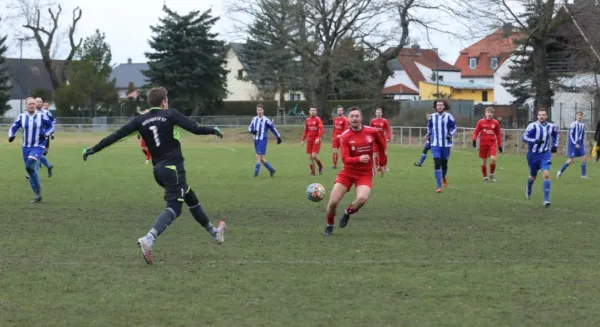 04.03.2023 SV Blau-Rot Coswig vs. Dessauer SV 97