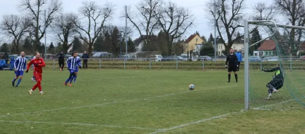 04.03.2023 SV Blau-Rot Coswig vs. Dessauer SV 97