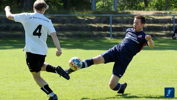 04.06.2023 SV Blau-Rot Coswig vs. SV Blau Rot Pratau