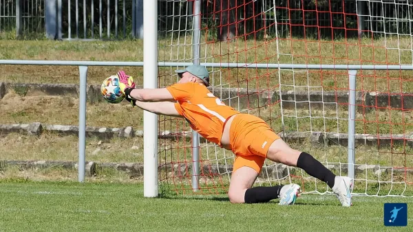 04.06.2023 SV Blau-Rot Coswig vs. SV Blau Rot Pratau