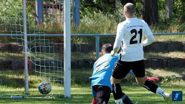 04.06.2023 SV Blau-Rot Coswig vs. SV Blau Rot Pratau