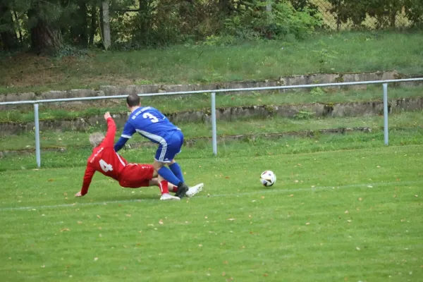 04.10.2025 SV Blau-Rot Coswig vs. SG 1919 Trebitz