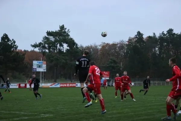 08.11.2025 SV Blau-Rot Coswig vs. SV Allemannia Jessen