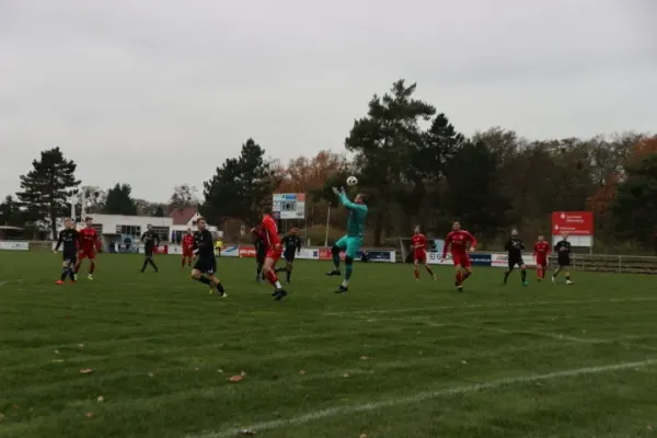 08.11.2025 SV Blau-Rot Coswig vs. SV Allemannia Jessen