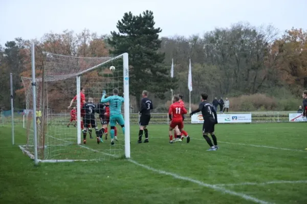 08.11.2025 SV Blau-Rot Coswig vs. SV Allemannia Jessen