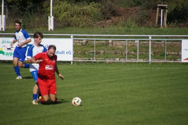 20.09.2025 SV Blau-Rot Coswig II vs. TSV Blau-Weiß 90 Prettin